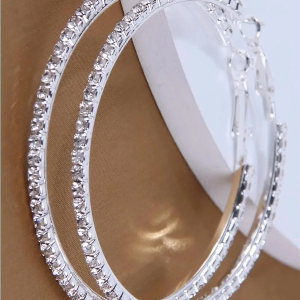 Elegant Silver Hoop Earrings